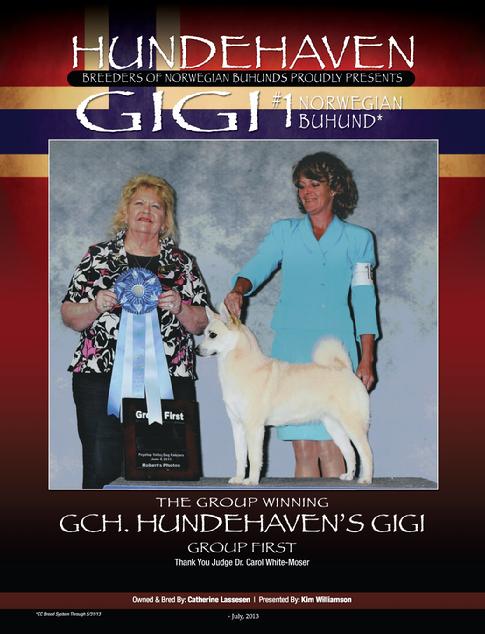 Number 1 Norwegian Buhund in USA