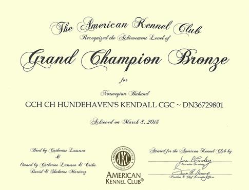 AKC Bronze Grand Champion Buhund